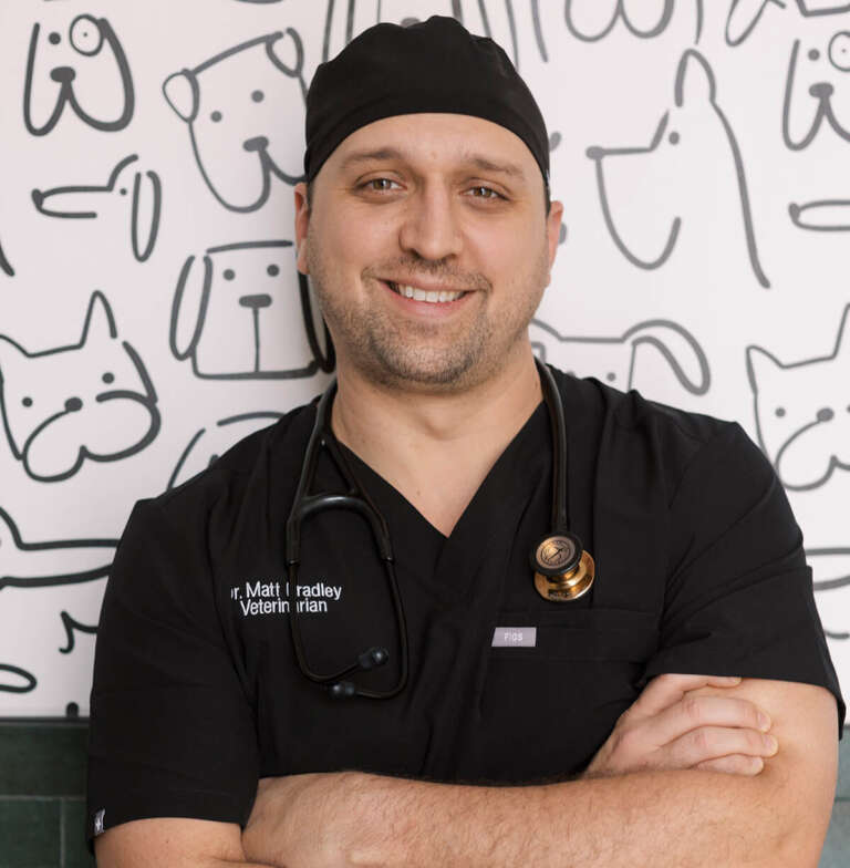 Dr. Matt Bradley in the ModernVet clinic