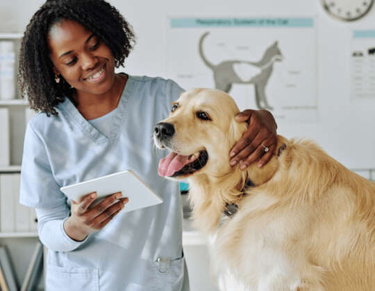 Does Pet Insurance Cover Shots & Vaccines?