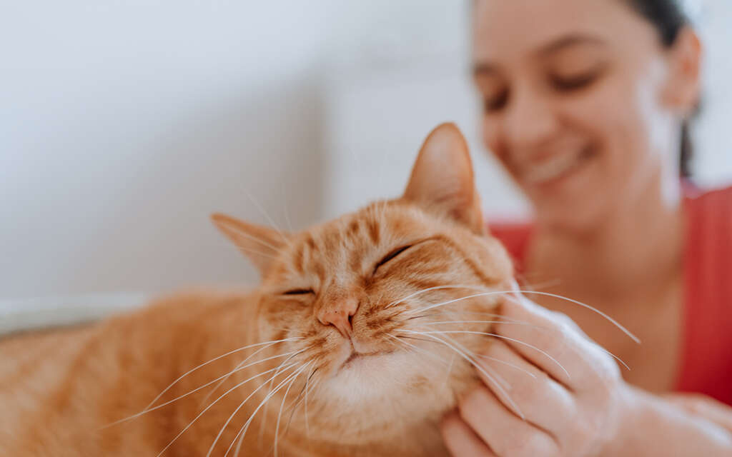 a woman petting a cat