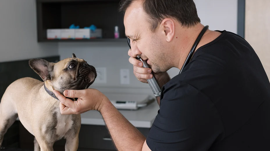 Doctor Matt during an examination