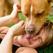 Is a Dog’s Mouth Cleaner Than a Human’s? What To Know