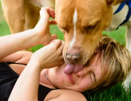 Is a Dog’s Mouth Cleaner Than a Human’s? What To Know