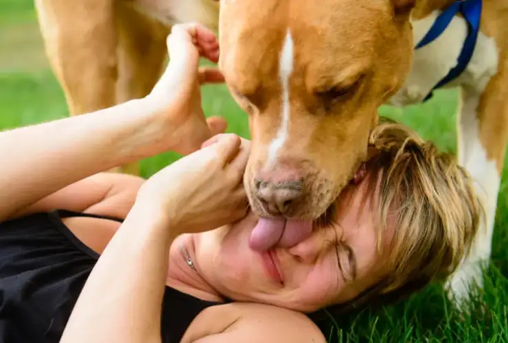 Is a Dog’s Mouth Cleaner Than a Human’s? What To Know