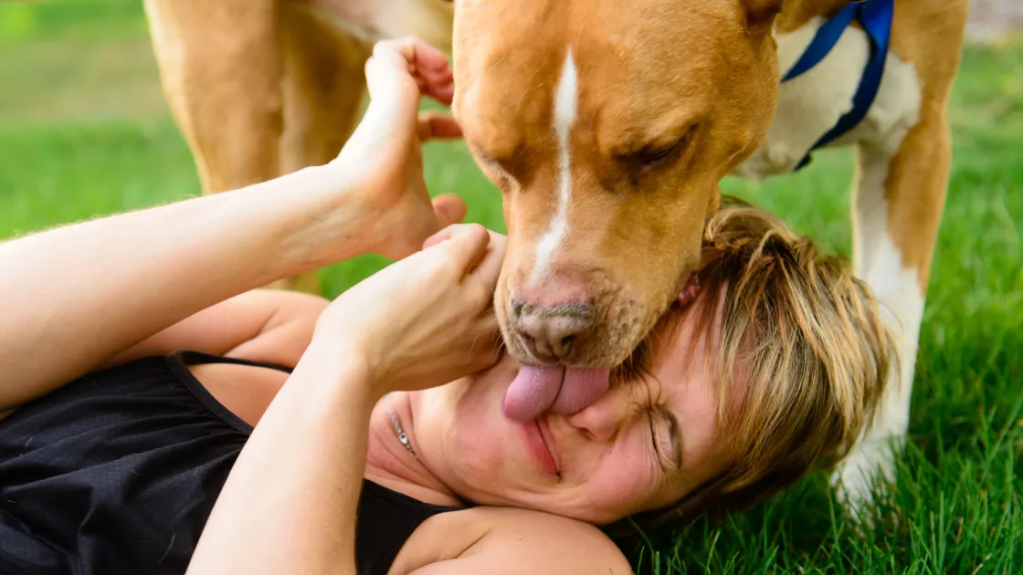 Is a Dog’s Mouth Cleaner Than a Human’s? What To Know