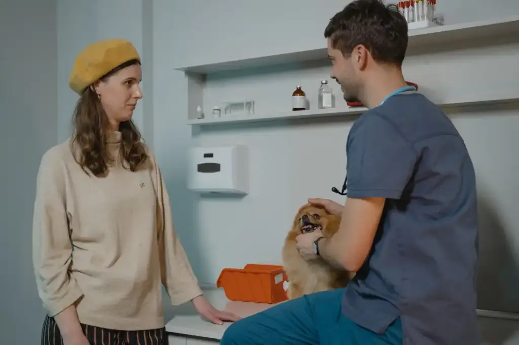 A veterinarian in blue scrubs comforts a small orange Pomeranian on an exam table while the dog's owner, wearing a yellow hat, looks on in a veterinary clinic